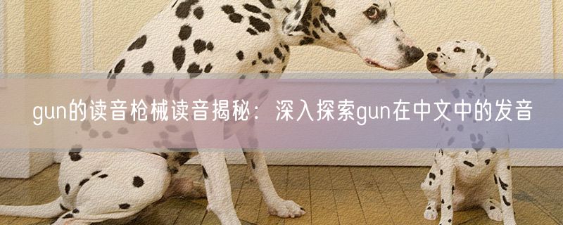 gun的读音枪械读音揭秘：深入探索gun在中文中的发音