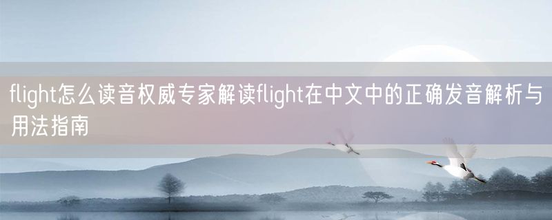 <strong>flight怎么读音权威专家解读flight在中文中的正确发音解析与用法指南</strong>