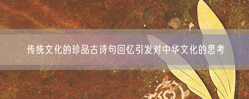 传统文化的珍品古诗句回忆引发对中华文化的思考