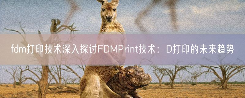<strong>fdm打印技术深入探讨FDMPrint技术：D打印的未来趋势</strong>