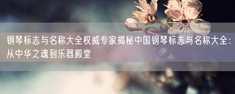 钢琴标志与名称大全权威专家揭秘中国钢琴标志与名称大全：从中华之魂到乐器殿堂