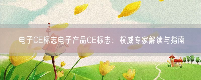 电子CE标志电子产品CE标志：权威专家解读与指南