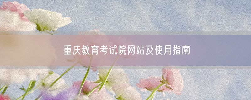 重庆教育考试院网站及使用指南